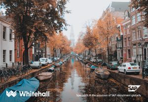 Working as an SAP Consultant in the Netherlands | Whitehall