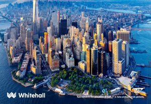 Working-as-an-SAP-Consultant-in-the-US