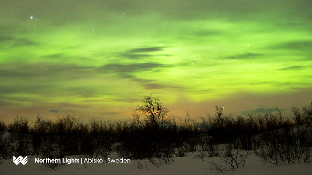 Northern Lights Absiko